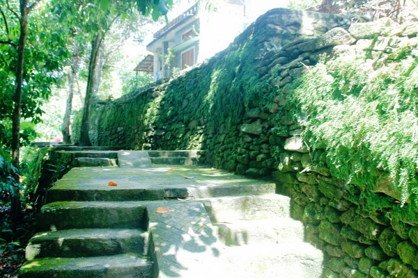 Lối vào căn nhà cổ đầy thơ mộng của ông Nguyễn Đình Hoan