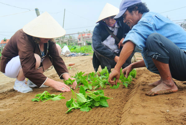 Làng rau trà khúc 8