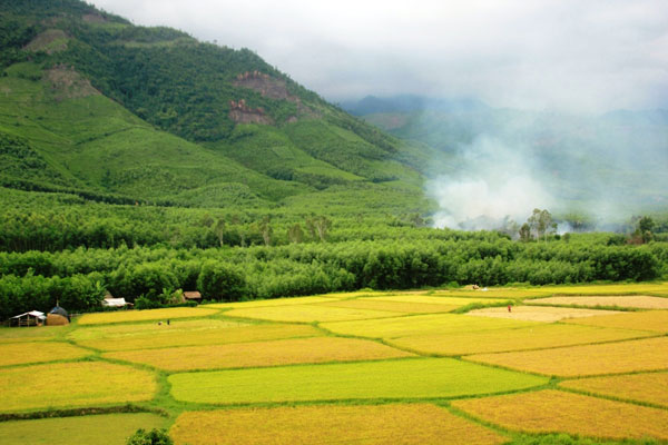 Giang Thơm long lanh đáy nước in trời 18