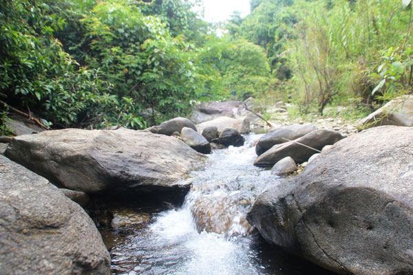 Giang Thơm long lanh đáy nước in trời 3