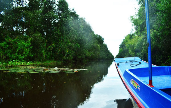 Vẻ đẹp khác của khu Ramsar thứ 4 ở Việt Nam 1