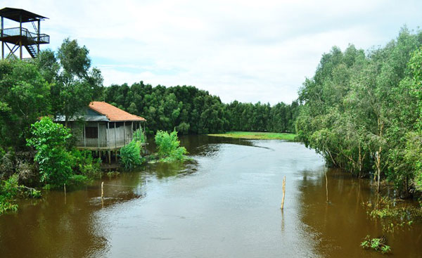 Vẻ đẹp khác của khu Ramsar thứ 4 ở Việt Nam 11