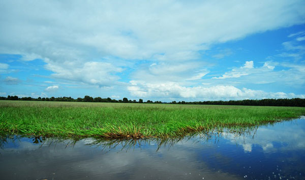 Vẻ đẹp khác của khu Ramsar thứ 4 ở Việt Nam 5