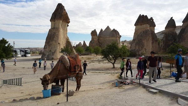 Cận cảnh cao nguyên Anatolia huyền ảo 2