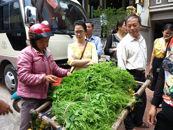 Lên Tam Đảo thưởng thức đọt su su ngon mê ly 14