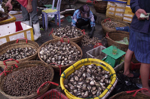 Một ngày tại chợ trời hải sản Hạ Long 