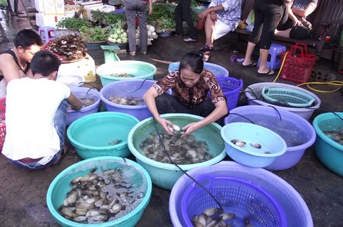 Một ngày tại chợ trời hải sản Hạ Long 