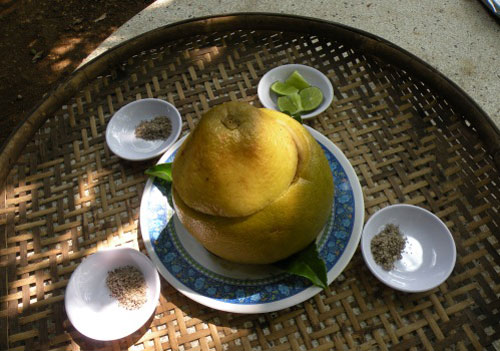 Mang bưởi đi “ấp” gà tre 