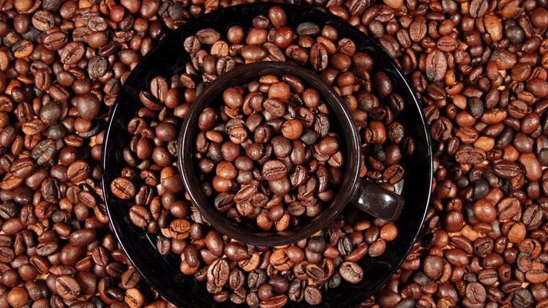 Hiểu về Cà phê (Kỳ 01): Thức uống thuận hợp với sáng tạo tự nhiên 2