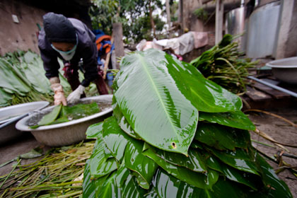 Kỳ công bánh chưng Tranh Khúc 1