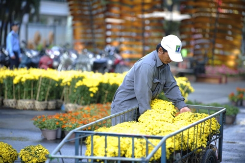 Ngắm đường hoa Nguyễn Huệ trước giờ khai mạc 1