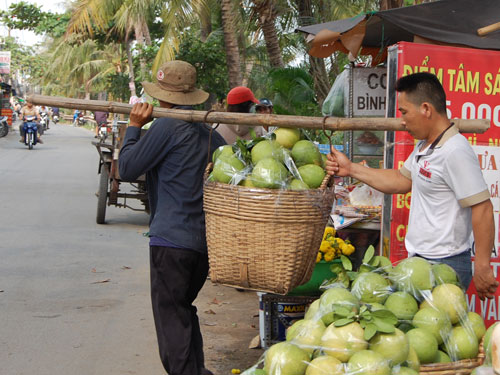 Tấp nập chợ nổi trái cây giữa Sài Gòn 11