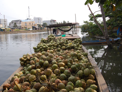 Tấp nập chợ nổi trái cây giữa Sài Gòn 14