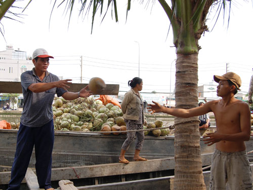 Tấp nập chợ nổi trái cây giữa Sài Gòn 16