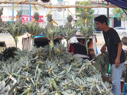 Tấp nập chợ nổi trái cây giữa Sài Gòn 17