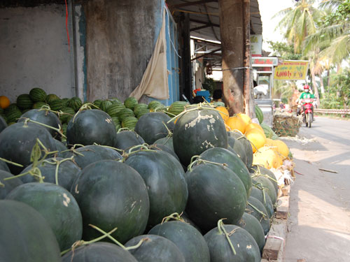 Tấp nập chợ nổi trái cây giữa Sài Gòn 18