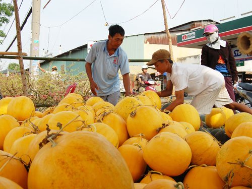 Tấp nập chợ nổi trái cây giữa Sài Gòn 19