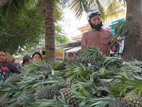 Tấp nập chợ nổi trái cây giữa Sài Gòn 1