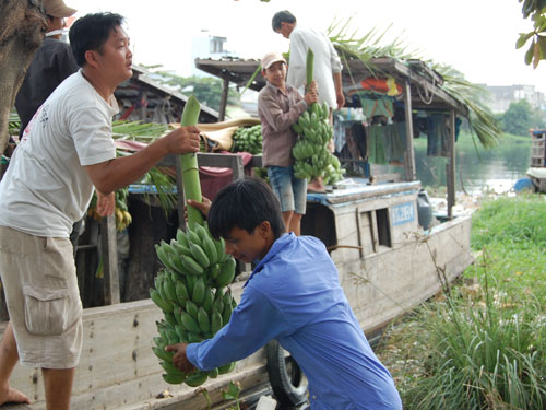 Tấp nập chợ nổi trái cây giữa Sài Gòn 6