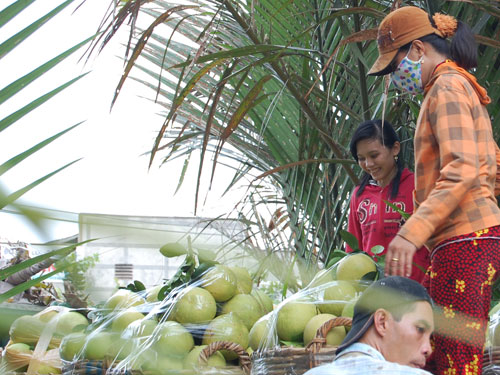 Tấp nập chợ nổi trái cây giữa Sài Gòn 9