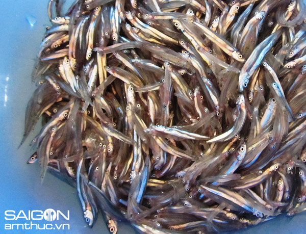 Quyến rũ cháo cá cơm nước dừa 1