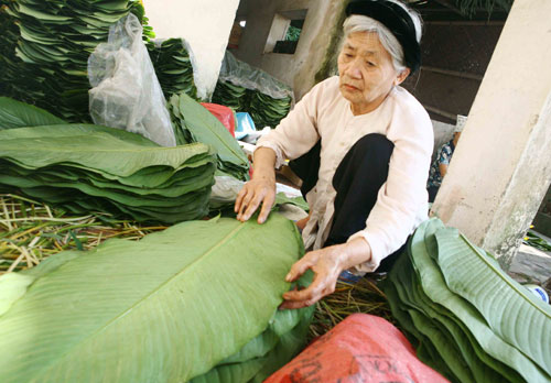 Thăm làng bánh chưng Thanh Khúc