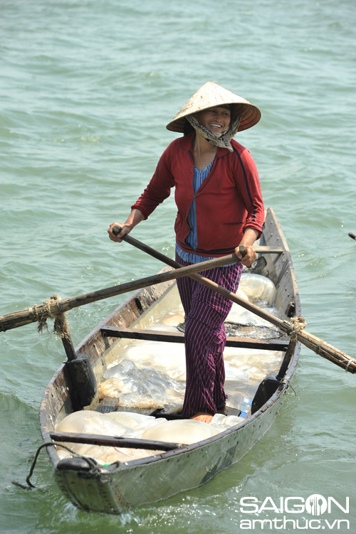 Mùa sứa trên phá Tam Giang 5