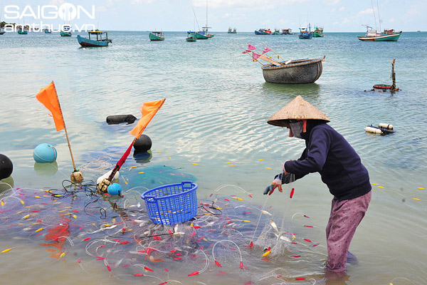 Một lần đánh cá ngân làm gỏi nơi đảo ngọc Phú Quốc 1