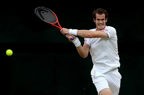 Andy Murray thua Roger Federer ở chung kết Wimbledon 2012
