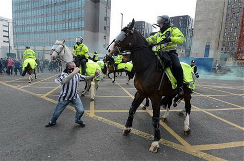CĐV Newcastle bị phạt tù vì đánh… ngựa thi hành công vụ