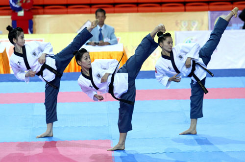Ngày thành công của taekwondo VN