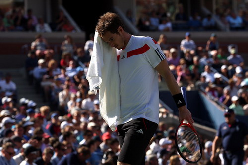 Murray thua giải Mỹ mở rộng vì... Wimbledon