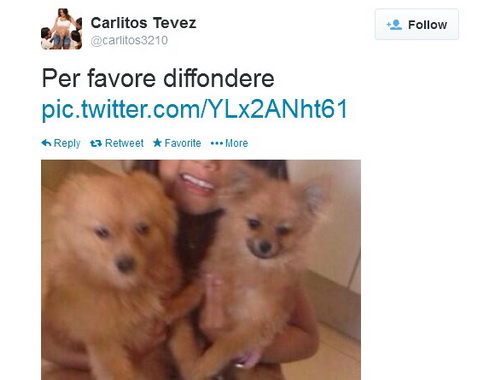 Carlos Tevez mượn Twitter để tìm thú cưng cho con
