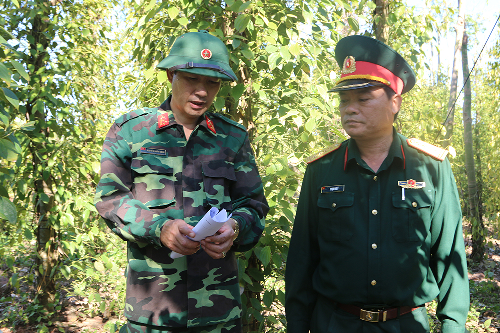 Đại tá Phạm Phú Ý (bìa phải) có mặt tại vườn tiêu của dân từ rất sớm