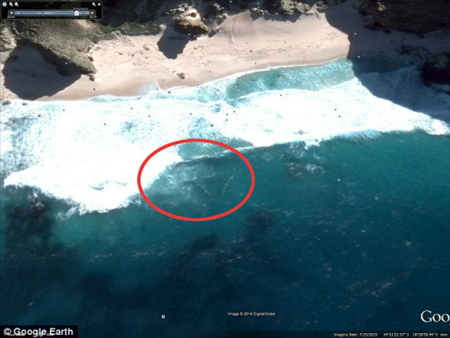 Bức ảnh chụp từ vệ tinh trong đó có hình ảnh được cho là xác máy bay MH370 - Ảnh chụp màn hình Daily Mail
