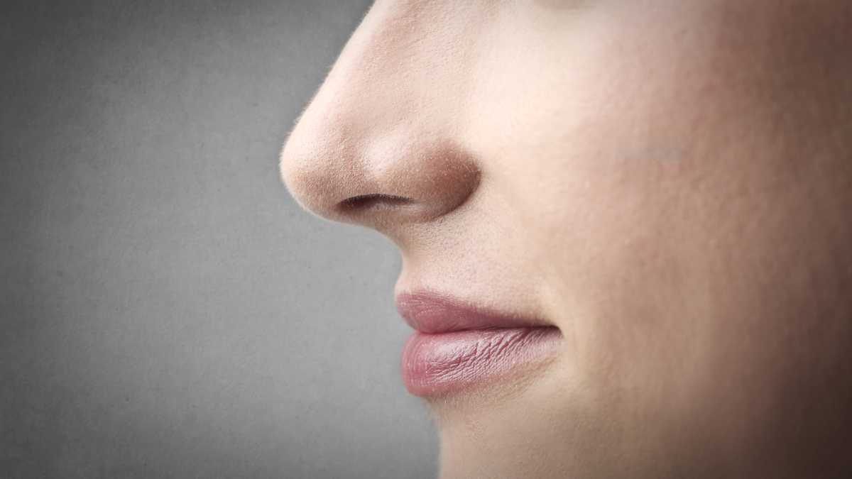 Mũi cũng là một công cụ để chẩn đoán bệnh - Ảnh: Shutterstock