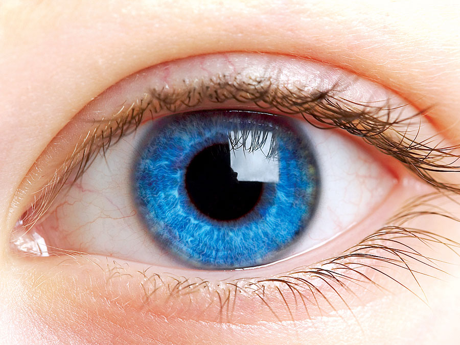 Những người có tròng mắt màu xanh thường nhạy cảm với ánh sáng - Ảnh: Shutterstock