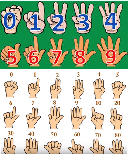 ‘Chi toán pháp’ và tiết lộ những ngón tay người biểu thị các con số 'bí ẩn'