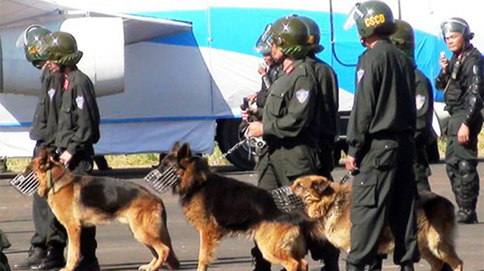 Chó nghiệp vụ cũng tham gia diễn tập đảm bảo an ninh hàng không - Ảnh minh họa: Gia Bình