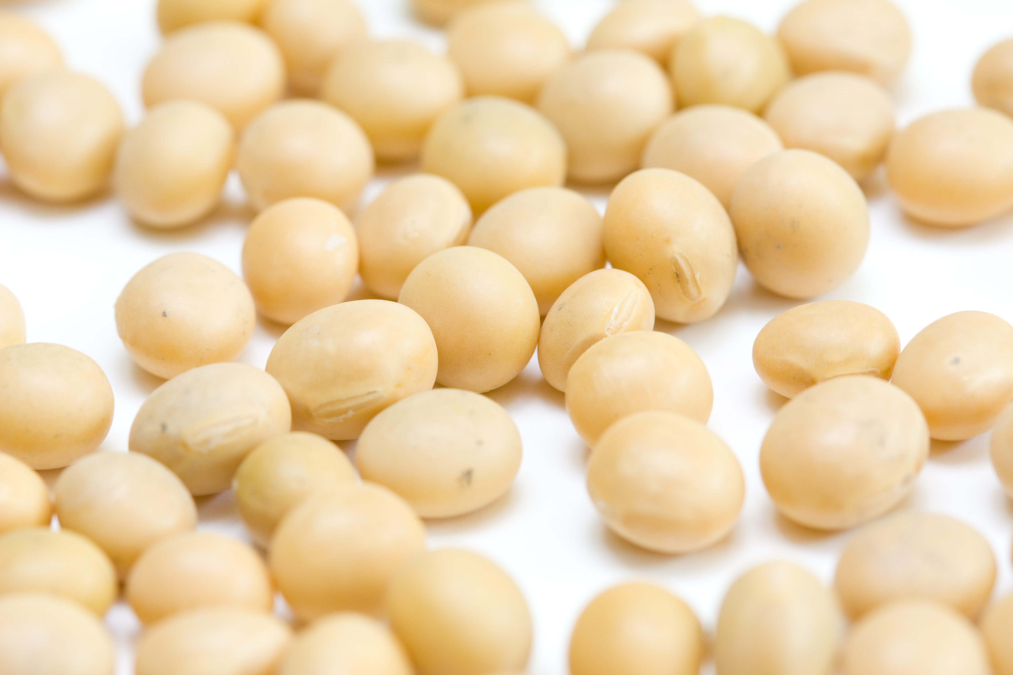 Ăn các chế phẩm từ đậu nành giúp ngừa nhiều bệnh - Ảnh: Shutterstock