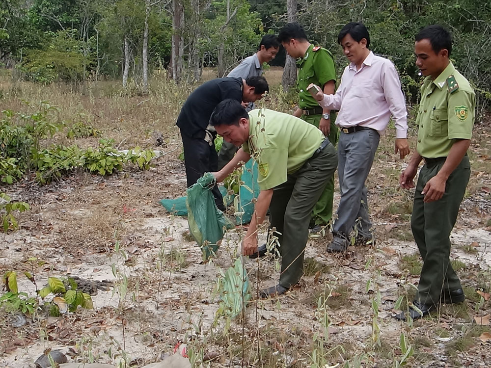 Nhiều cá thể thú rừng vừa được giải cứu khỏi quán nhậu - Ảnh: Minh Anh