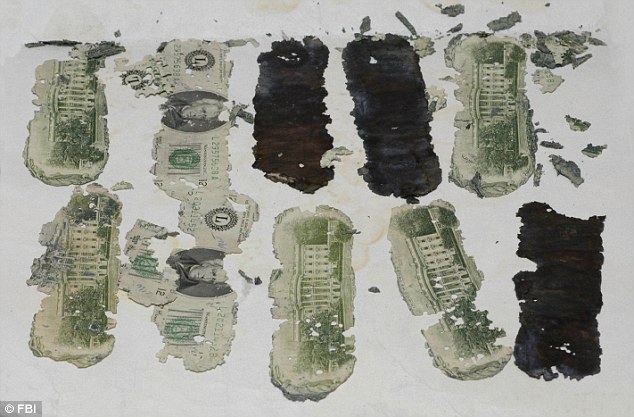 Một số tờ tiền của Cooper được phát hiện năm 1980, 9 năm sau vụ không tặc  - Ảnh: FBI