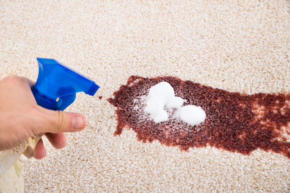 Làm sạch thảm không cần hóa chất để tốt cho sức khỏe gia đình - Ảnh: Shutterstock