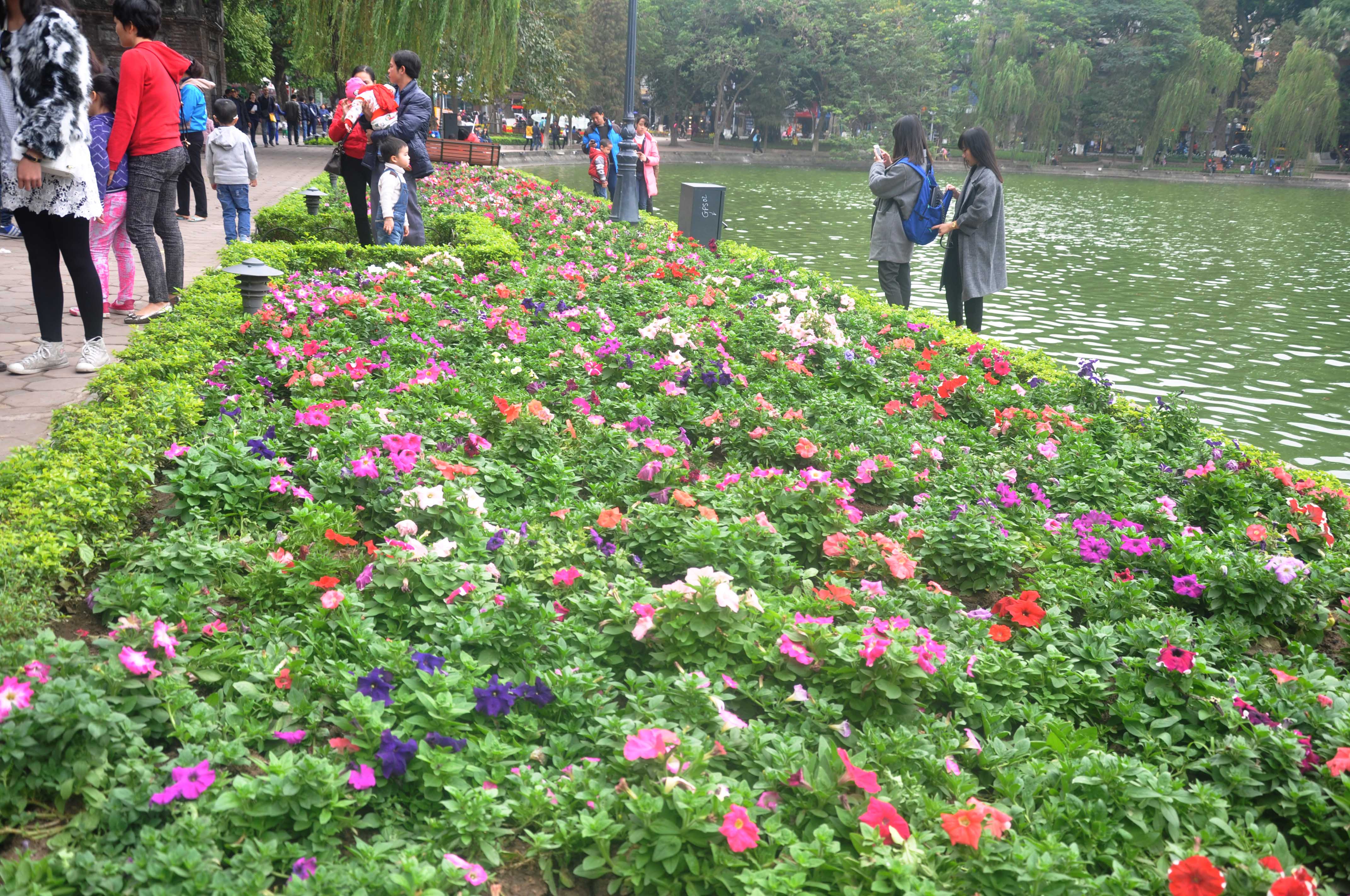 Vườn hoa ven hồ Hoàn Kiếm từng đẹp như thế này...