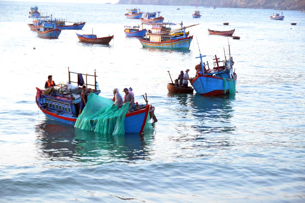 Thuyền máy buông lưới đánh bắt tôm hùm giống - Ảnh: Lê Minh