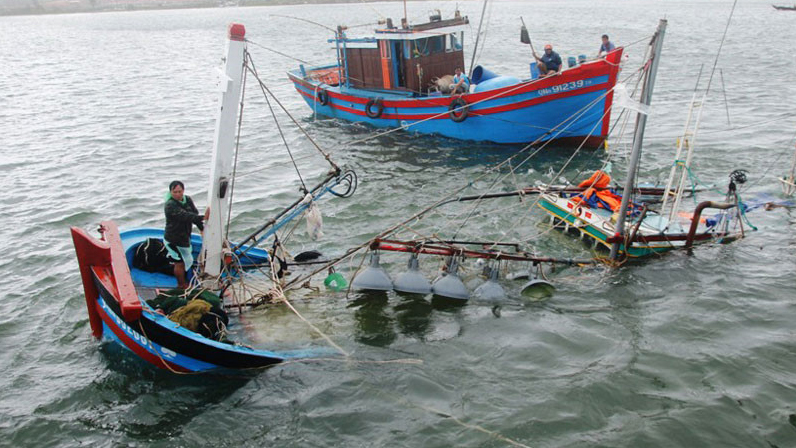 Ảnh minh họa:: Hoàng Sơn