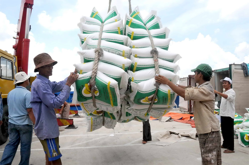 Xuất khẩu gạo tăng mạnh trong 2 tháng đầu năm nay nhưng giá gạo vẫn giảm sâu - Ảnh: Diệp Đức Minh