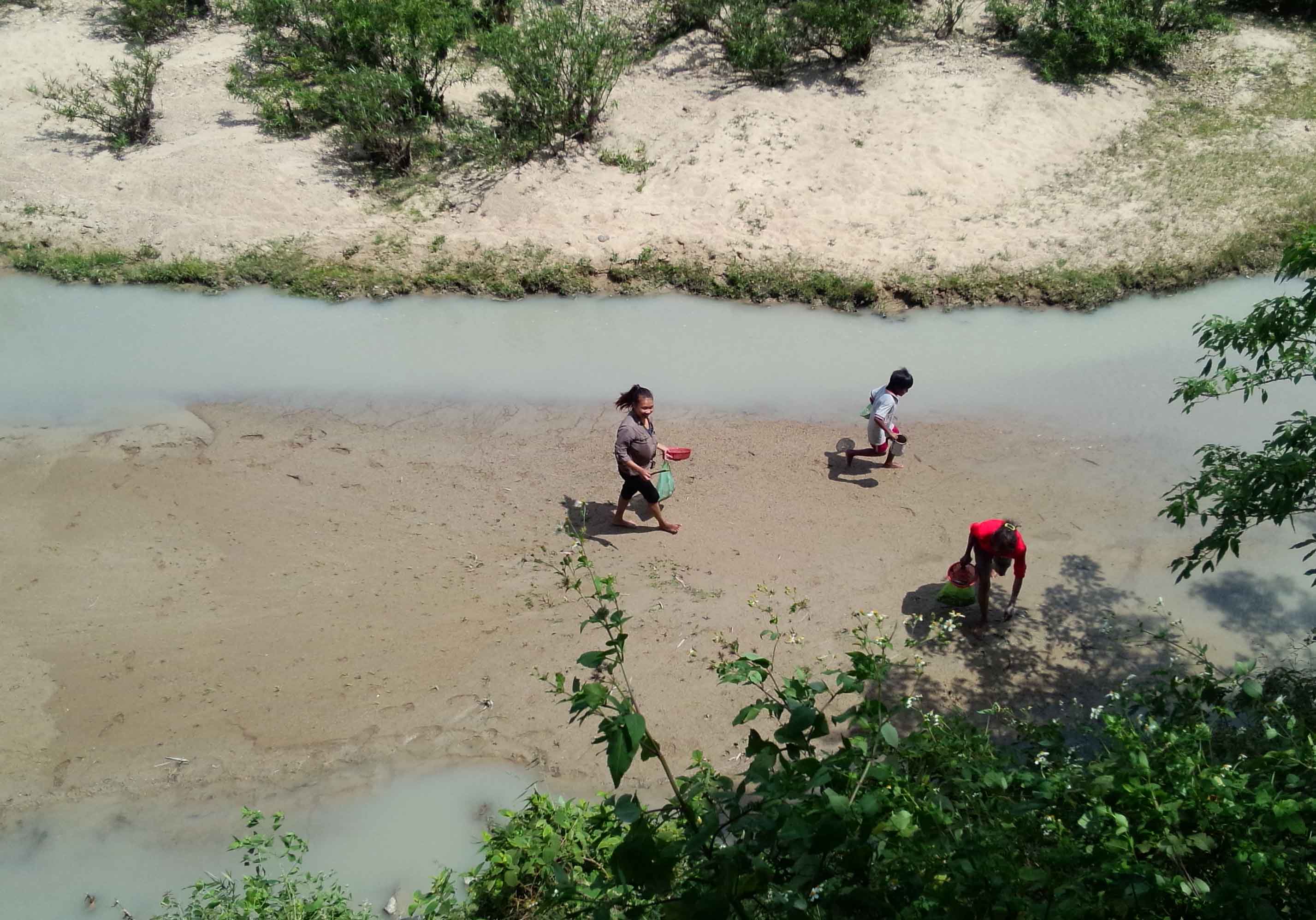 Lượm cá chết ở sông Hà Thanh - Ảnh: người dân cung cấp