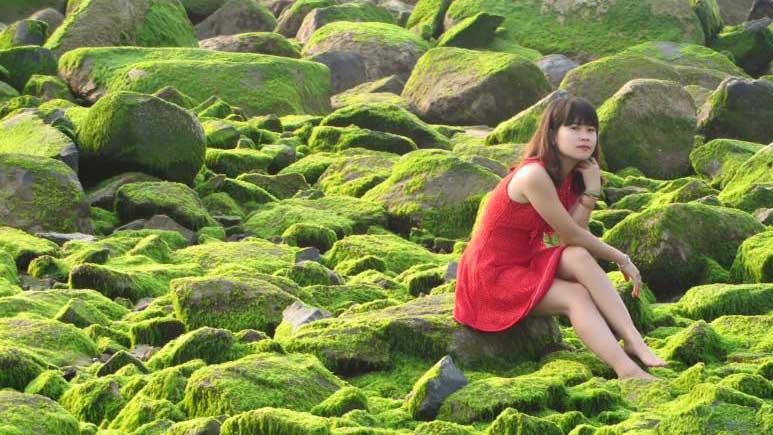 Bãi đá phủ rêu xanh ngắt - Ảnh: Văn Duyên