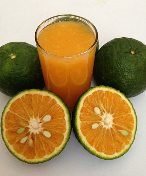 Cam dồi dào vitamin C - Ảnh: Minh Khôi